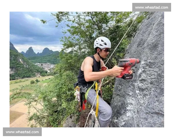 挑战自我极限：探索高山登顶的魅力与技巧