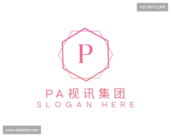 介绍PA视讯集团