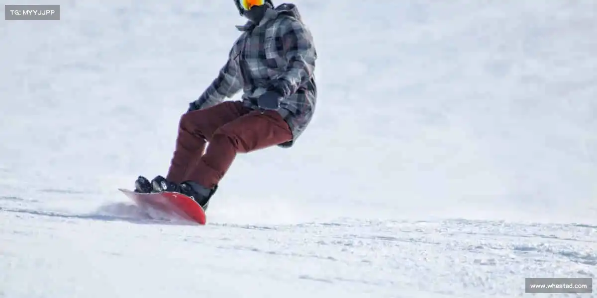 我们的核心竞争力